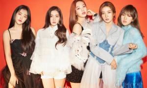 Ồn ào vụ quấy rối tình dục Red Velvet: SM Ent cảnh cáo pháp lý, fan mỉa mai: 'Chỉ thấy nói chưa thấy làm'